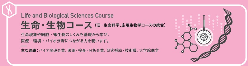 bio.jpg