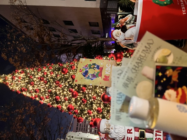 R71221_2.JPG