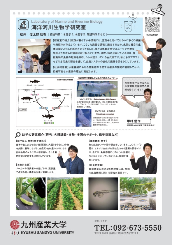 R7leaf_4.jpg